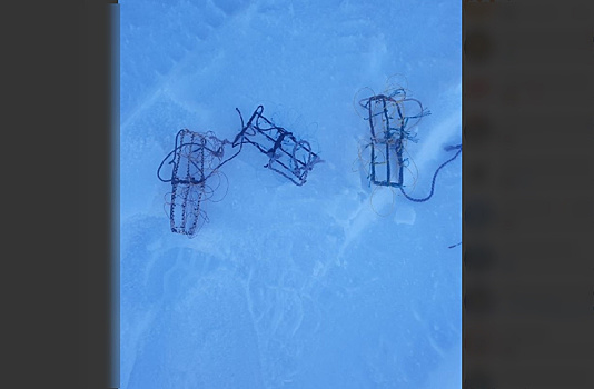 Хабаровчанин незаконно охотился на соколов в Белогорском округе