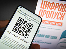 Не вздумайте оплачивать! Что делать со штрафами за езду без QR-кода