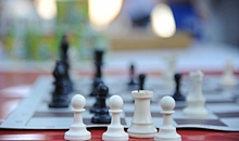 Волгоградские школьники завоевали на первенстве ЮФО по шахматам 14 медалей