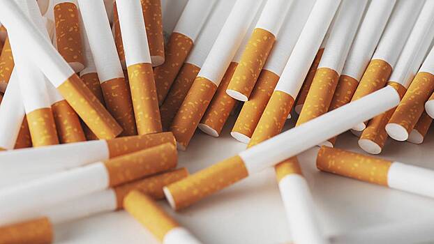 Экономист Лебединская назвала минимальную стоимость пачки сигарет с 1 января