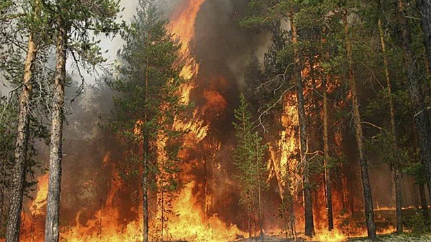 На территории Югры с 6 октября отменили пожароопасный сезон