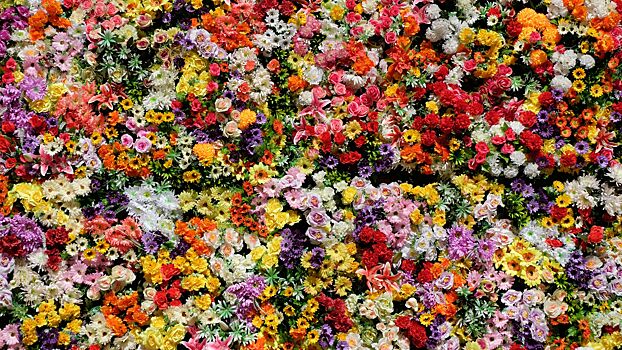 Какие цветы можно посадить на даче в мае