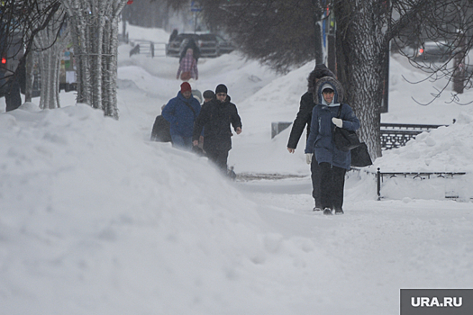 Мама ребенка-инвалида потребовала почистить дорогу к садику в Челябинске