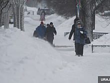 Мама ребенка-инвалида потребовала почистить дорогу к садику в Челябинске