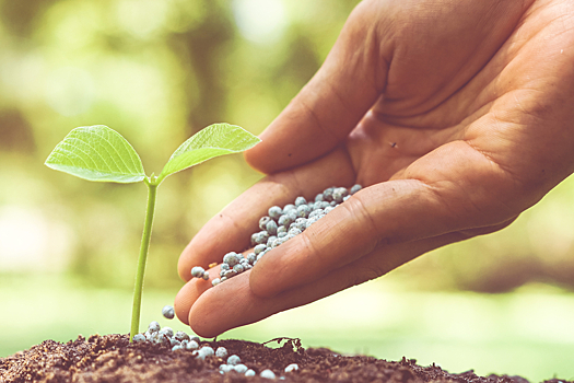 Минсельхоз предложил заморозить стоимость удобрений для российских аграриев