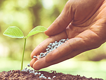 Минсельхоз предложил заморозить стоимость удобрений для российских аграриев