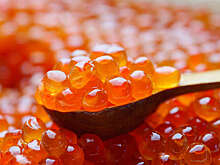 Цена красной икры на Камчатке выросла на 13% после землетрясений и цунами