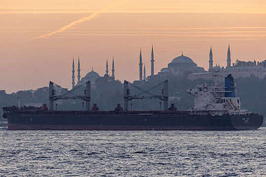 Ученый Курназ заявил, что часть Стамбула может уйти под воду к 2050 году