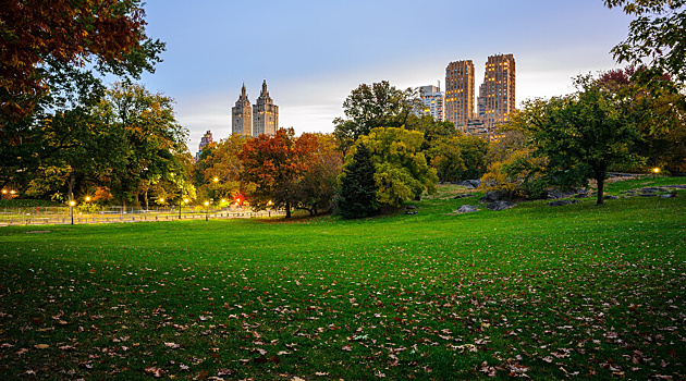 Городские парки – банкроты или драйверы развития