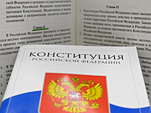 Эксперт подчеркнул важность социальных поправок в Конституцию