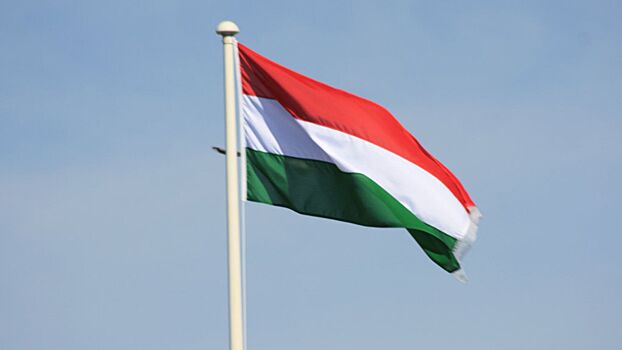 Лидер новой оппозиции в Венгрии зарегистрировал партию на выборах в Европарламент