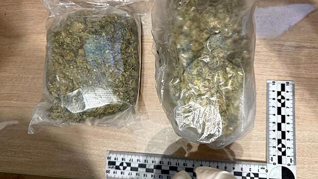 Двух вахтовиков-наркодельцов, наладивших поставку марихуаны, выявила ненецкая полиция с помощью БПЛА