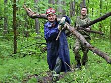 В лесопосадке у ипподрома  в Ижевске планируют открыть туристический кластер
