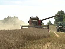 В Калининградской области намерены организовать учебу для начинающих фермеров