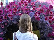 В Набережных Челнах пройдет фестиваль цветов