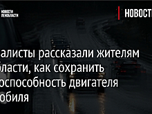 Специалисты рассказали жителям Ленобласти, как сохранить работоспособность двигателя автомобиля