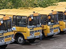 Власти Башкирии потратят более 700 млн рублей на покупку автобусов и санитарных автомобилей