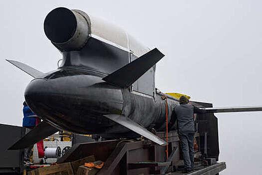 ВС РФ уничтожили пять новых украинских ракет "Фламинго"