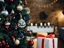 Новый год: 10 удивительных и интересных фактов про праздник