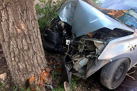 Таксист из Сызрани врезался в дерево ради спасения собаки