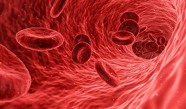 Шведские ученые: люди со второй группой крови наименее подвержены образованию рака