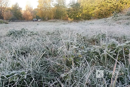 МЧС предупредило о заморозках до -4°С в Нижегородской области