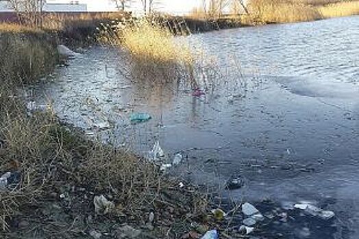 Тонет в мусоре. Почему озеро в белгородской Гриневке превратили в свалку