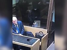 Сообщницу многодетной матери Логиновой Патоку отпустили из СИЗО по делу о торговле детьми