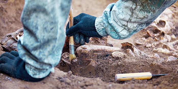 В Германии нашли захоронение «зомби» возрастом 4200 лет