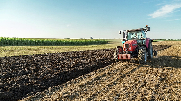 Польша и Украина нашли решение по торговле сельхозпродукцией
