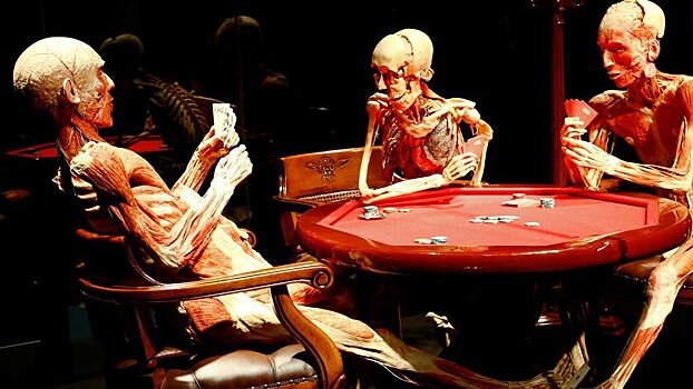 Загробное искусство: как из мертвецов создают пластинаты