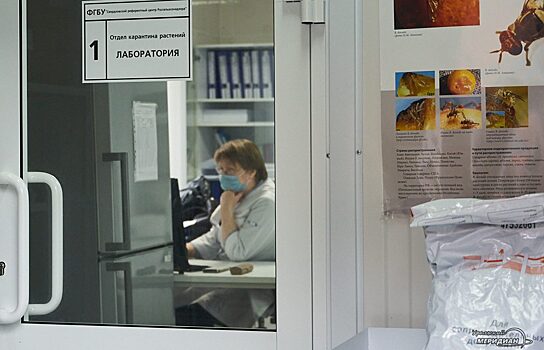 В Свердловской области за сутки зарегистрировали 291 случай коронавируса