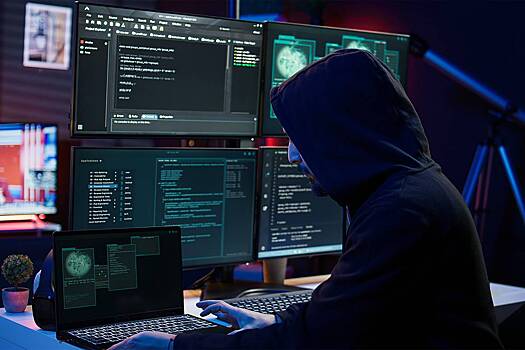 России предрекли бум кибермошенничества