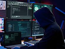 России предрекли бум кибермошенничества