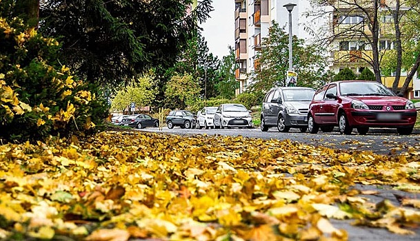 Топ-7 штрафов, которые водители традиционно получают осенью