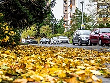 Топ-7 штрафов, которые водители традиционно получают осенью