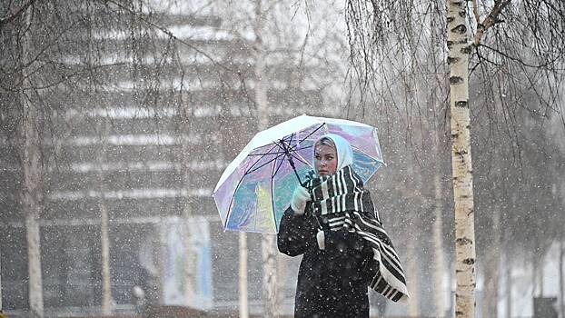 Городские службы перевели в режим повышенной готовности из-за предстоящей непогоды