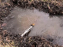 Чудом осталась жива: из-за обстрела ВСУ пострадал ребенок