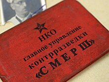 The Times (Великобритания): охотники на шпионов из «Смерш» снова в деле