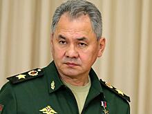 Снимок Шойгу с детьми привел россиян в умиление