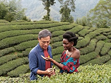 На экраны вышел «Черный чай» Абдеррахмана Сиссако