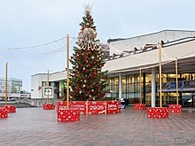 Лучшие районы и предприятия ЗелАО были отмечены по летнему и зимнему оформлению