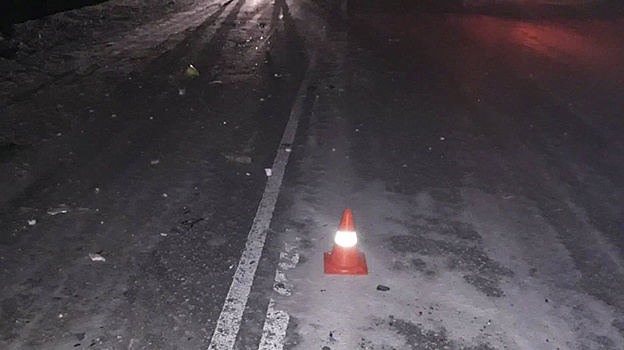 Водитель грузовика насмерть сбил пешехода на ямальской трассе