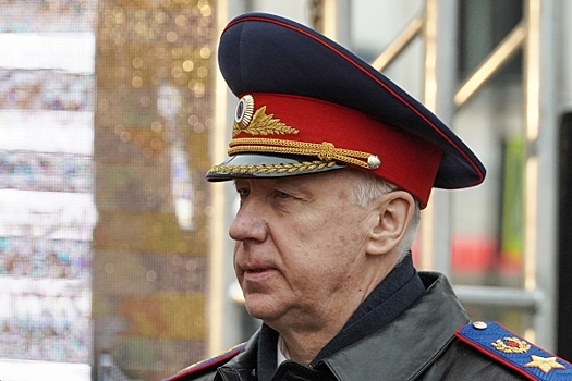 Бастрыкин заявил о росте совершенных мигрантами преступлений