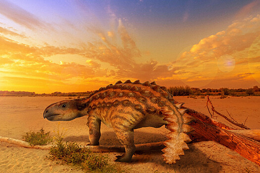 Палеонтологи открыли новый вид динозавра