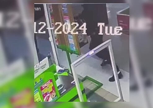 «Просто по приколу»: в Благовещенске неизвестные украли деньги из ящика для помощи бездомным животным