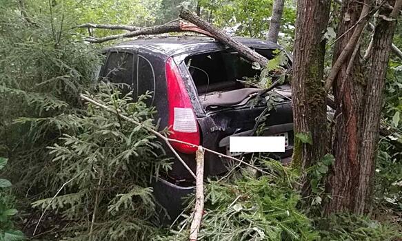 В Оричевском районе водитель «Калины» опрокинулся в кювет