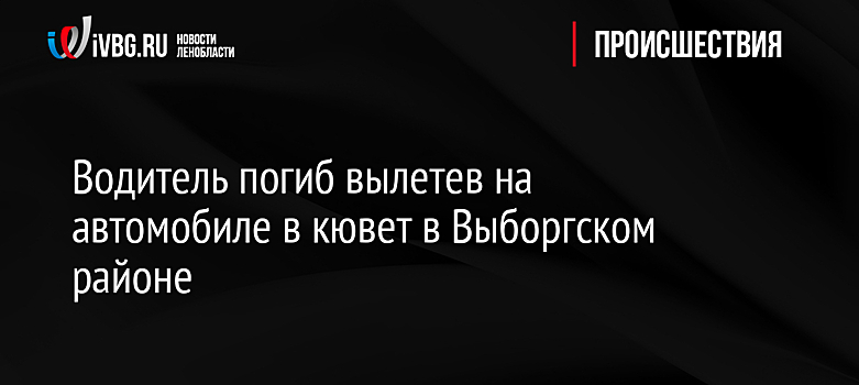 Водитель погиб вылетев на автомобиле в кювет в Выборгском районе