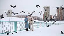 До -8 градусов и снег: озвучен прогноз погоды на выходные в Архангельской области