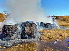 «Тракторист увез технику к пруду»: в Ромненском округе сгорело 18 рулонов сена